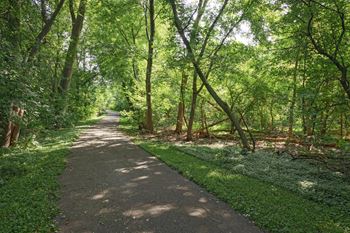 Walking paths